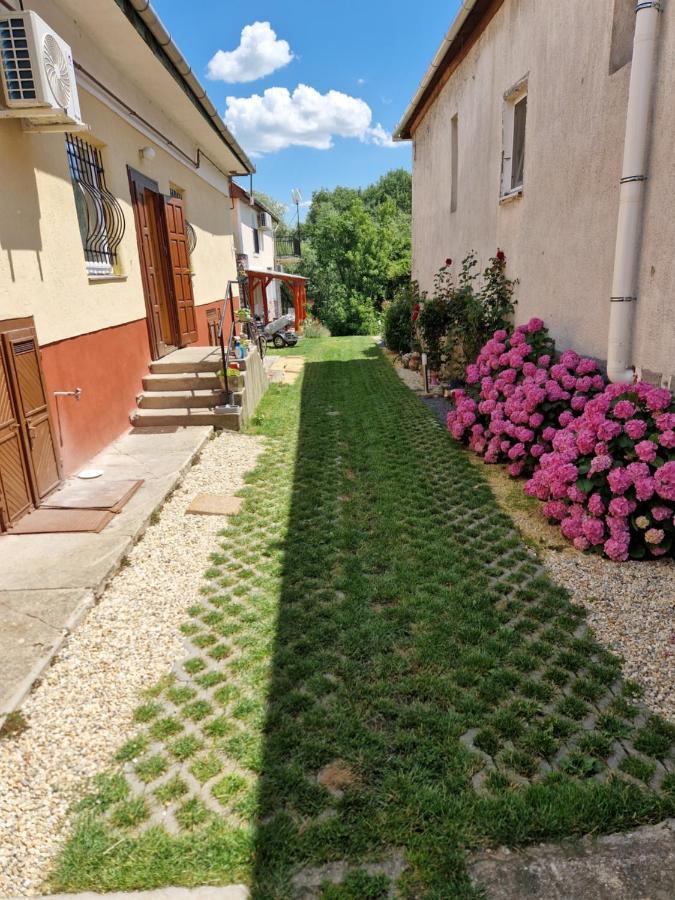 Gecse-Villa Шарошпатак Екстер'єр фото